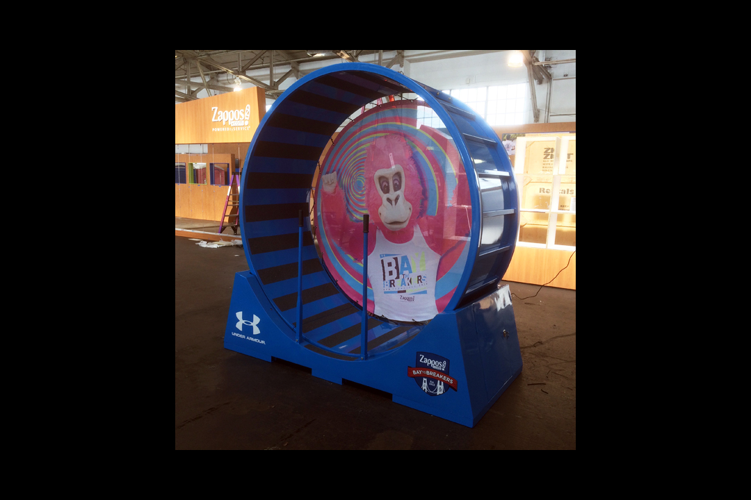 electric hamster wheel